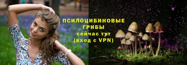 прущая мука Бугульма