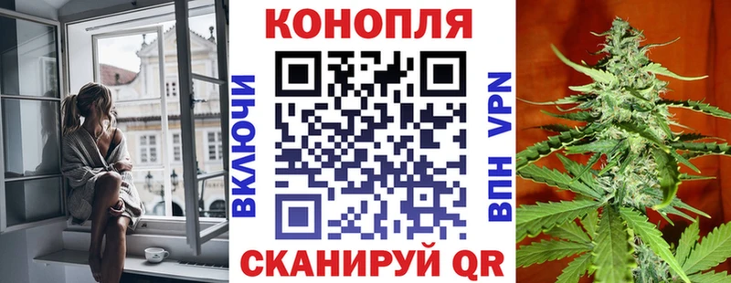 Каннабис OG Kush  Раменское 